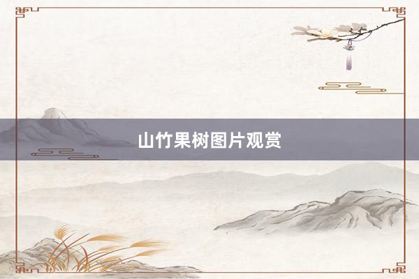 山竹果树图片观赏